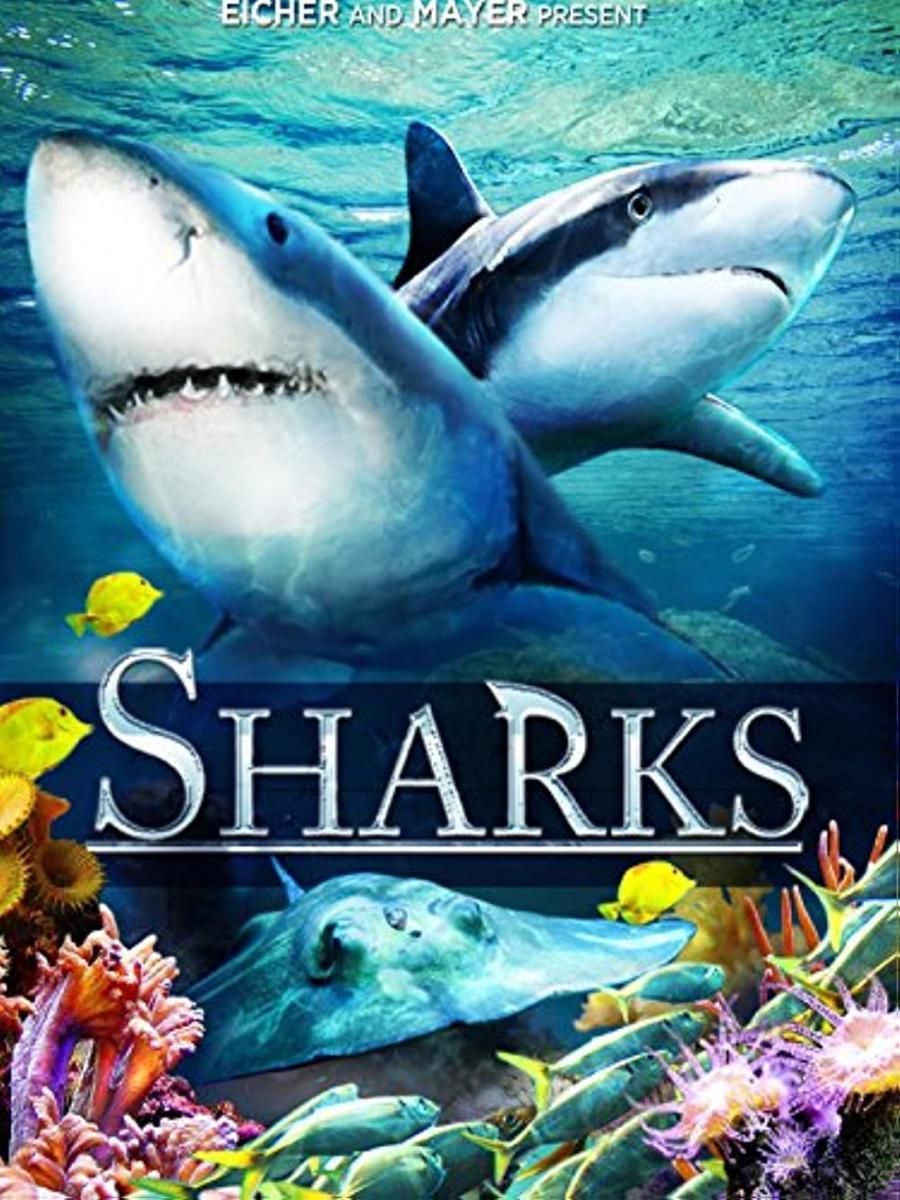 Sharks 3D