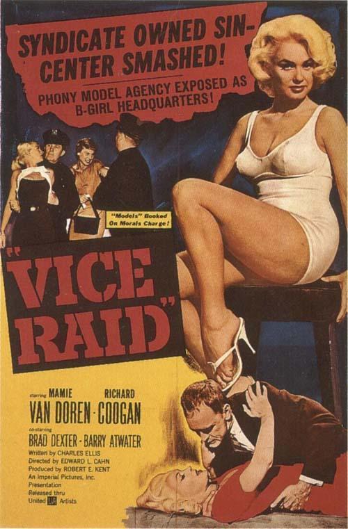 Vice Raid