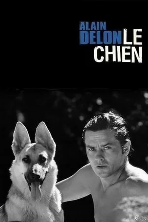 Le chien (TV)