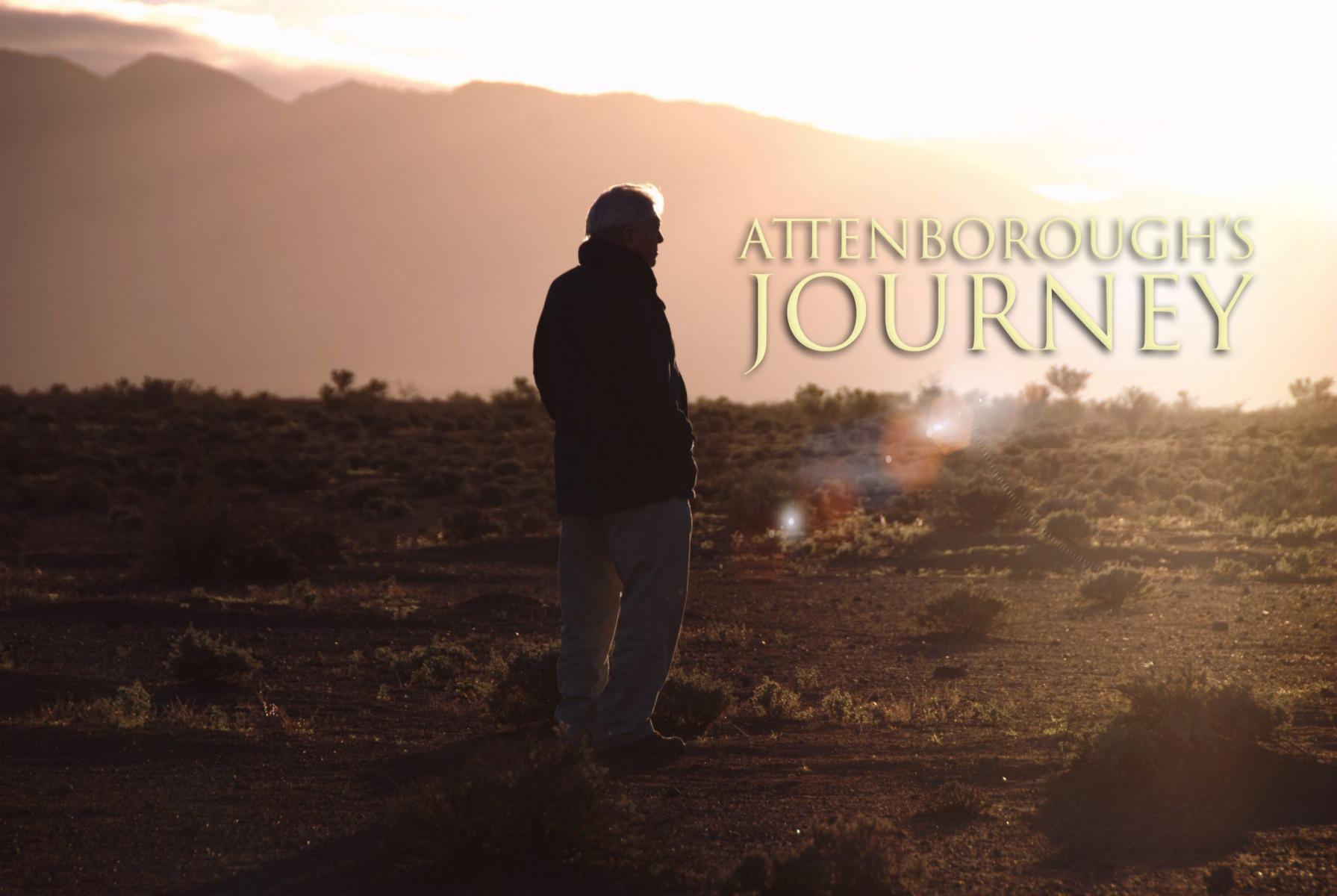 David Attenborough: una vida extraordinaria (TV)