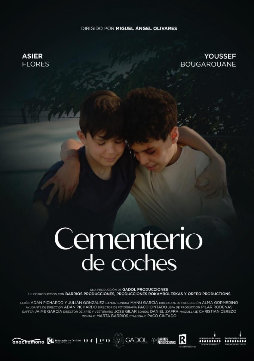 Cementerio de coches (C)