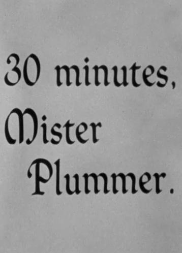 30 Minutes, Mister Plummer