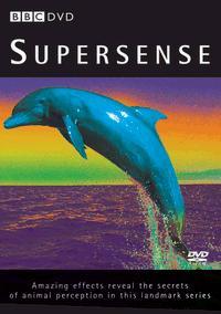 Supersense (TV Series)