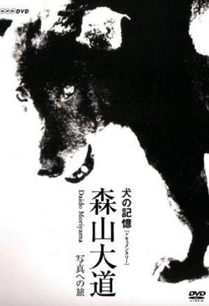 Memories of a Dog: Daido Moriyama's Journey to Photography