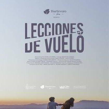 Lecciones de Vuelo