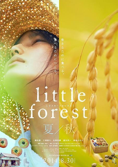 Little Forest - Summer/Autumn