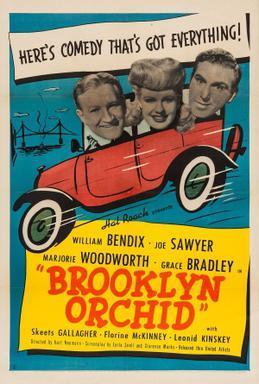 Brooklyn Orchid