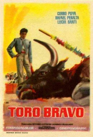 Toro bravo