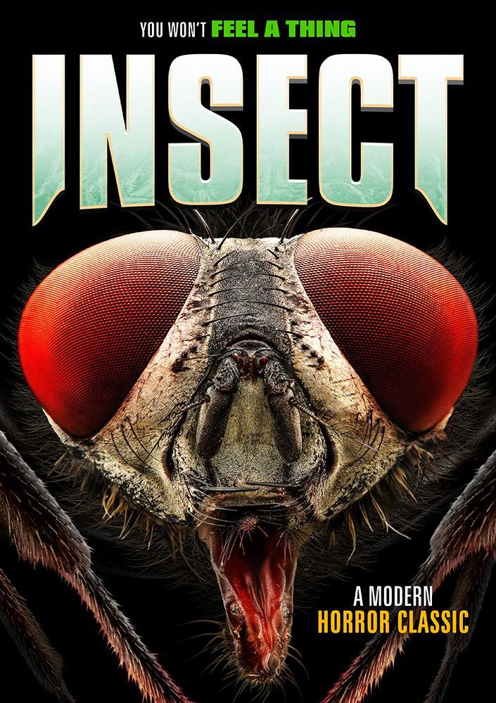 Insect