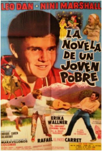 La novela de un joven pobre