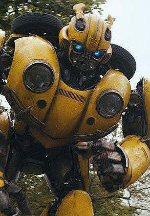 Bumblebee: Direct Line (S)