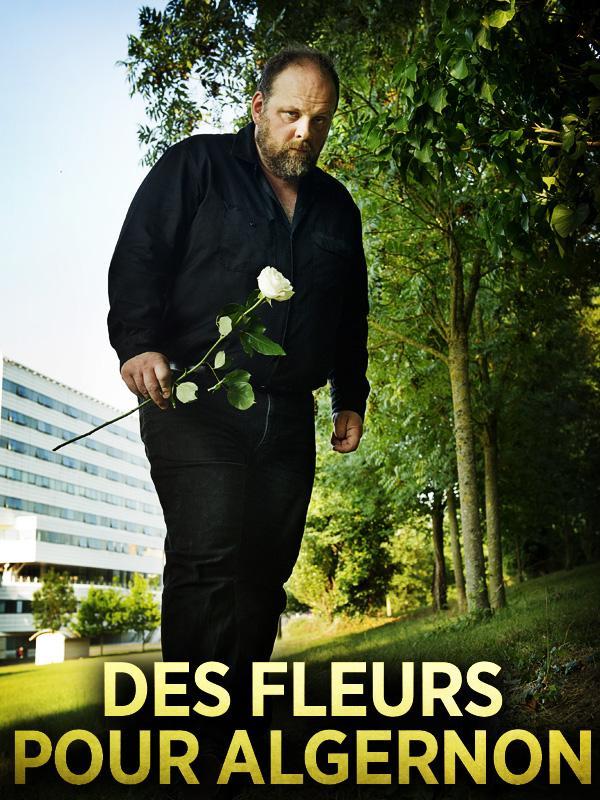 Flores para Algernon (TV)