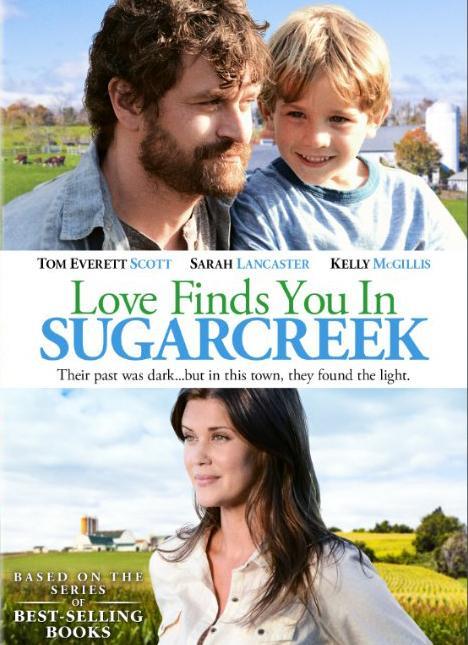 Un extraño en Sugarcreek (TV)