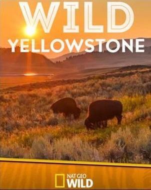 Wild Yellowstone (Miniserie de TV)