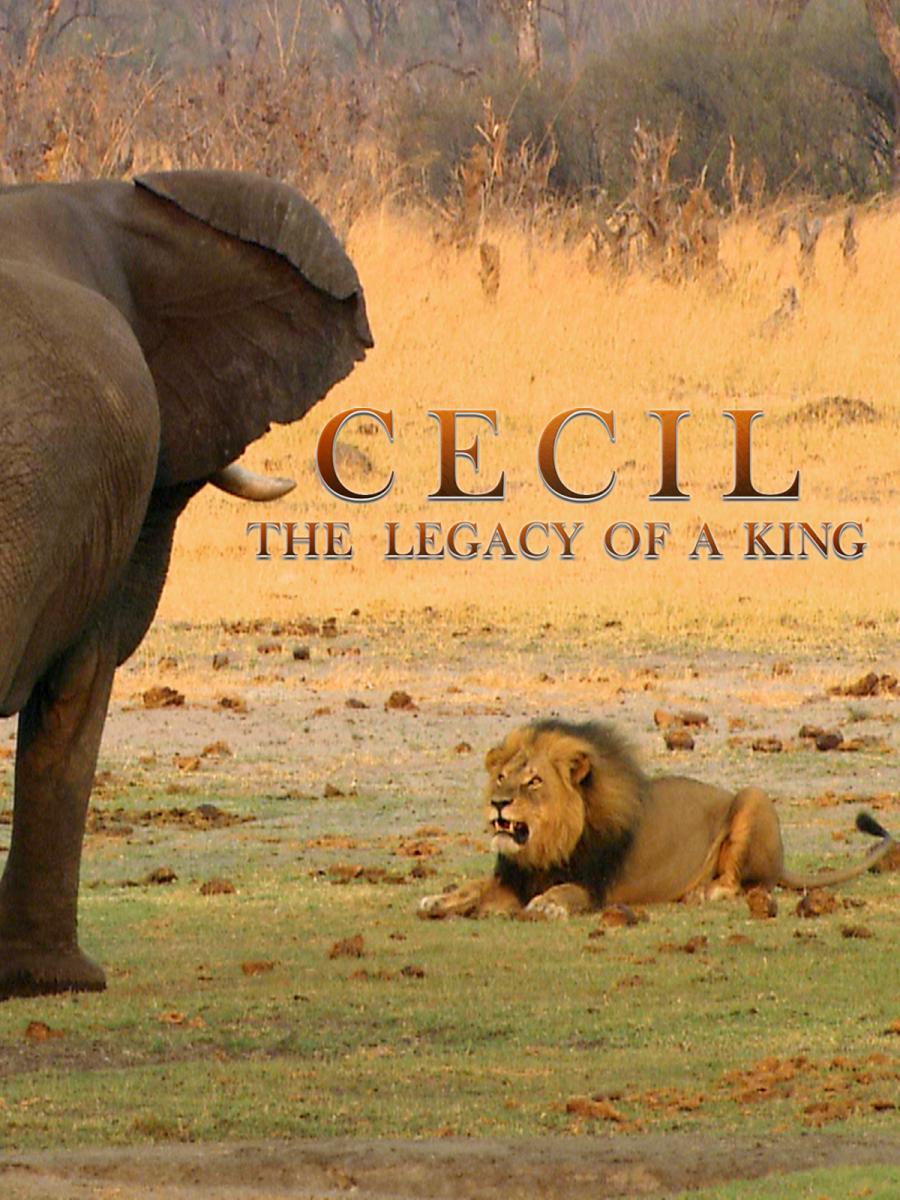 Cecil: The Real Lion King