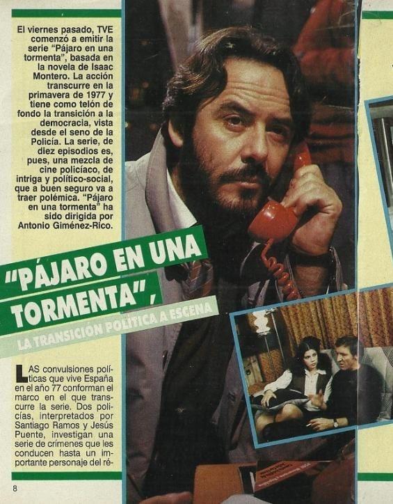 Pájaro en una tormenta (TV Series)