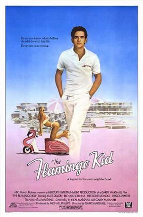 The Flamingo Kid