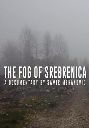 The Fog of Srebrenica