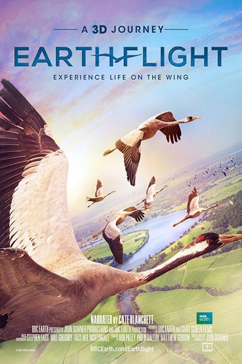 Earthflight: A 3D Journey