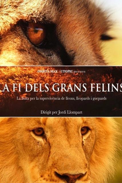 La fi dels grans felins