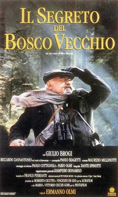 El secreto del bosque viejo