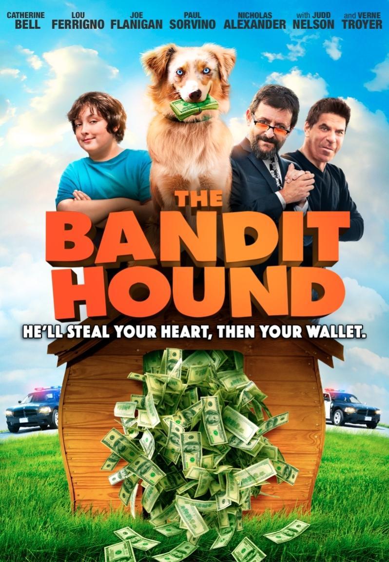 The Bandit Hound