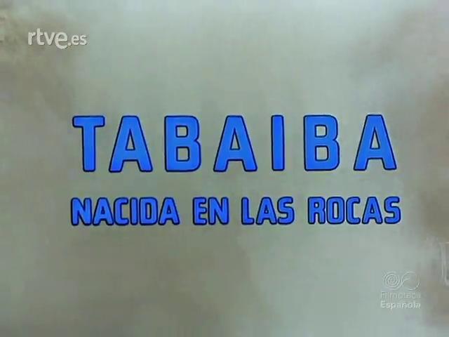 Tabaiba: Nacida en las rocas (S)