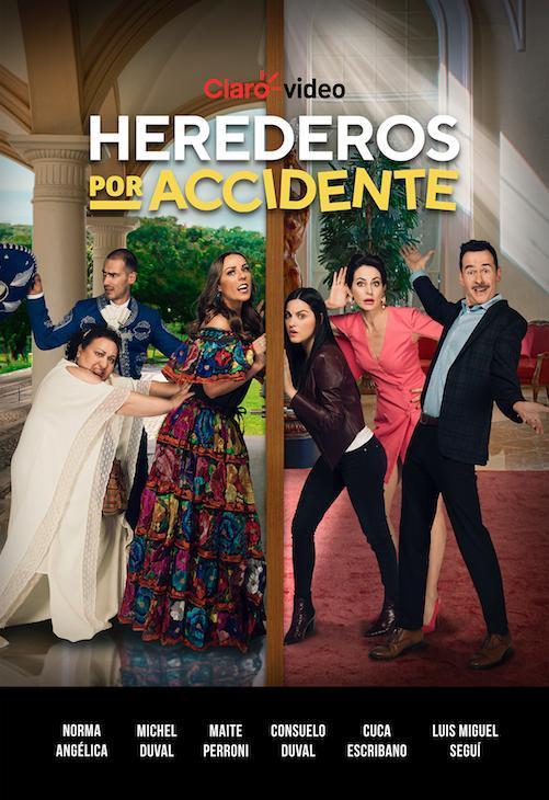 Herederos por accidente (Serie de TV)