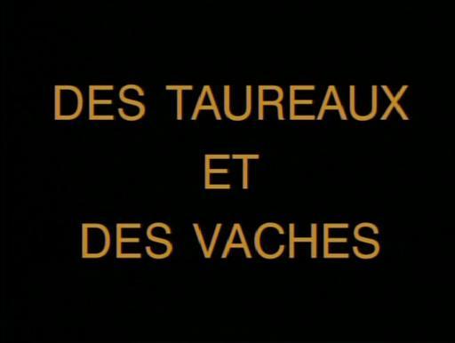 Des taureaux et des vaches (TV)