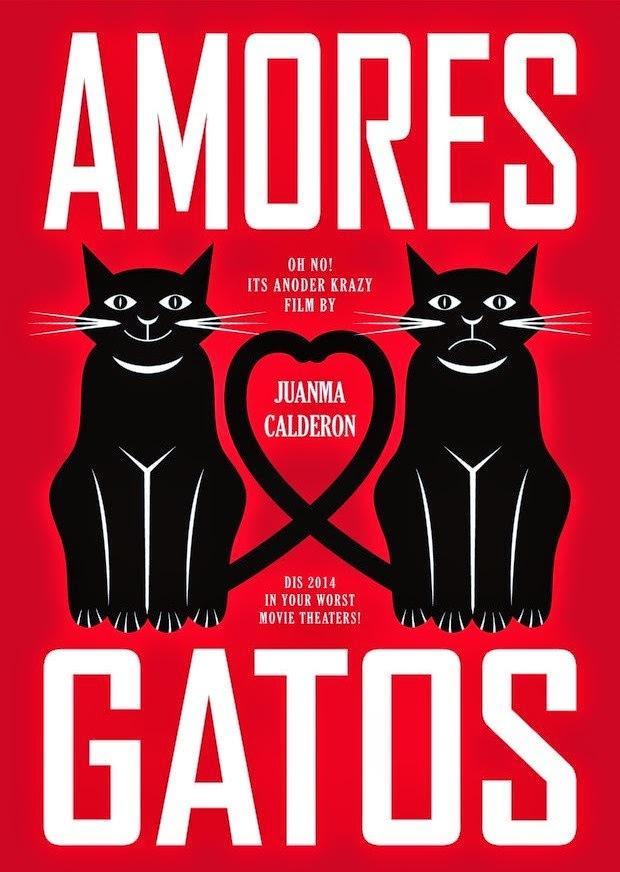 Amores gatos