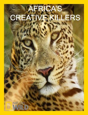 Africa's Creative Killers (TV Series)