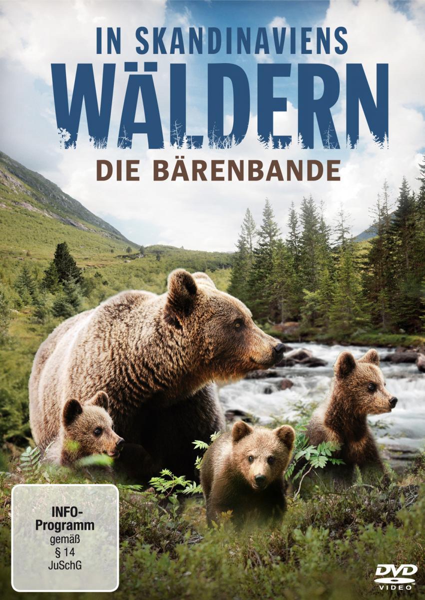 Die Bärenbande - In Skandinaviens Wäldern