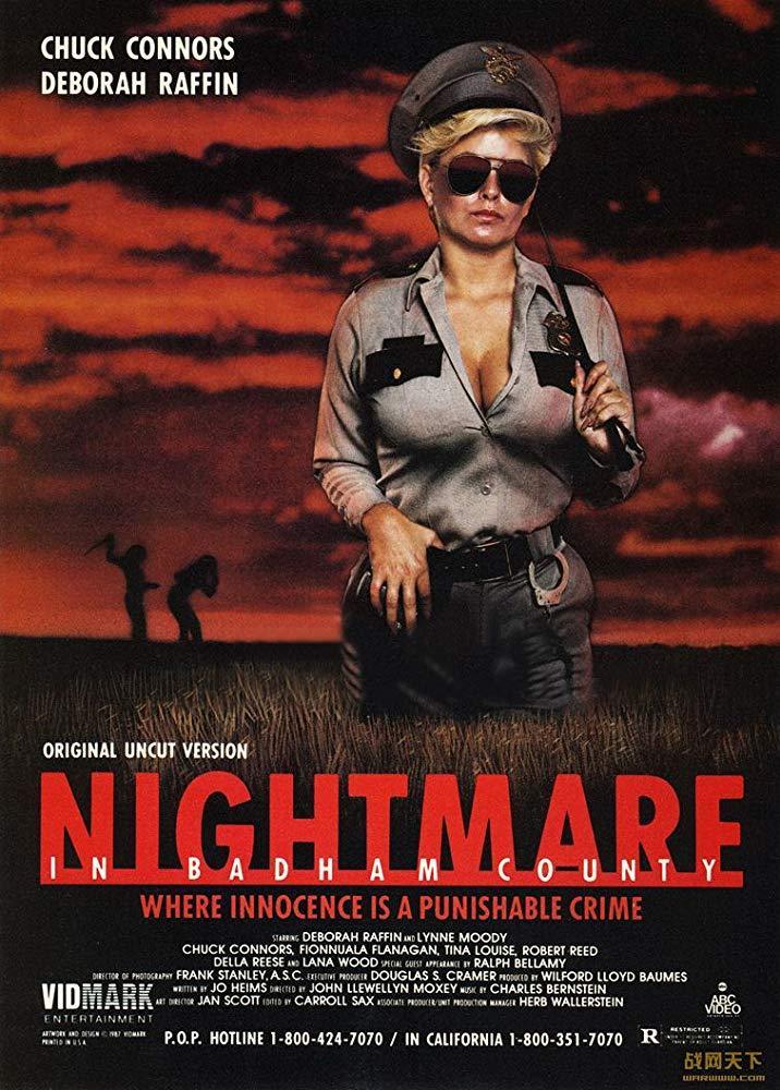 Nightmare in Badham County (TV)