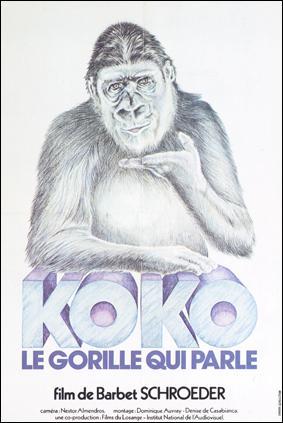 Koko, le gorille qui parle