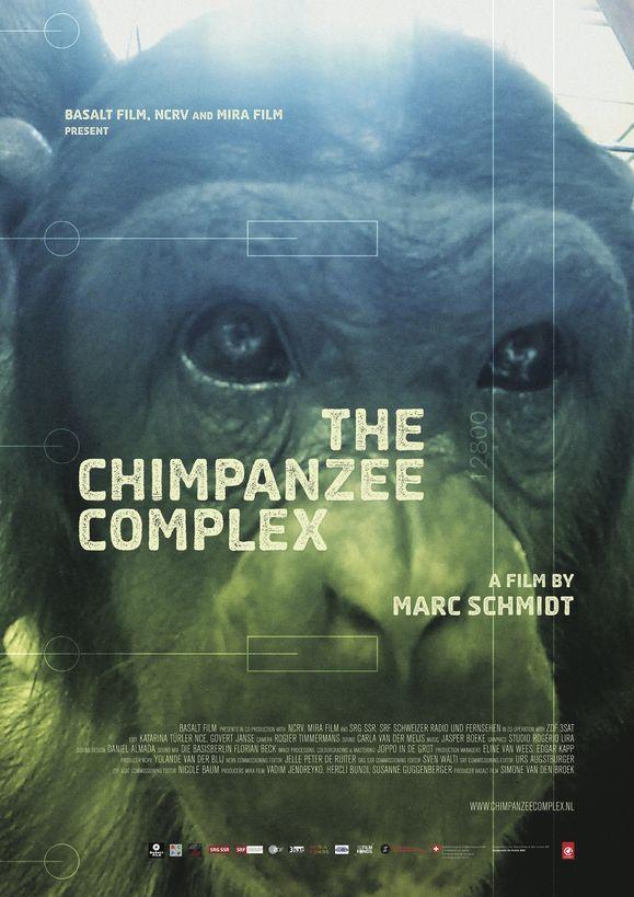 The Chimpanzee Complex