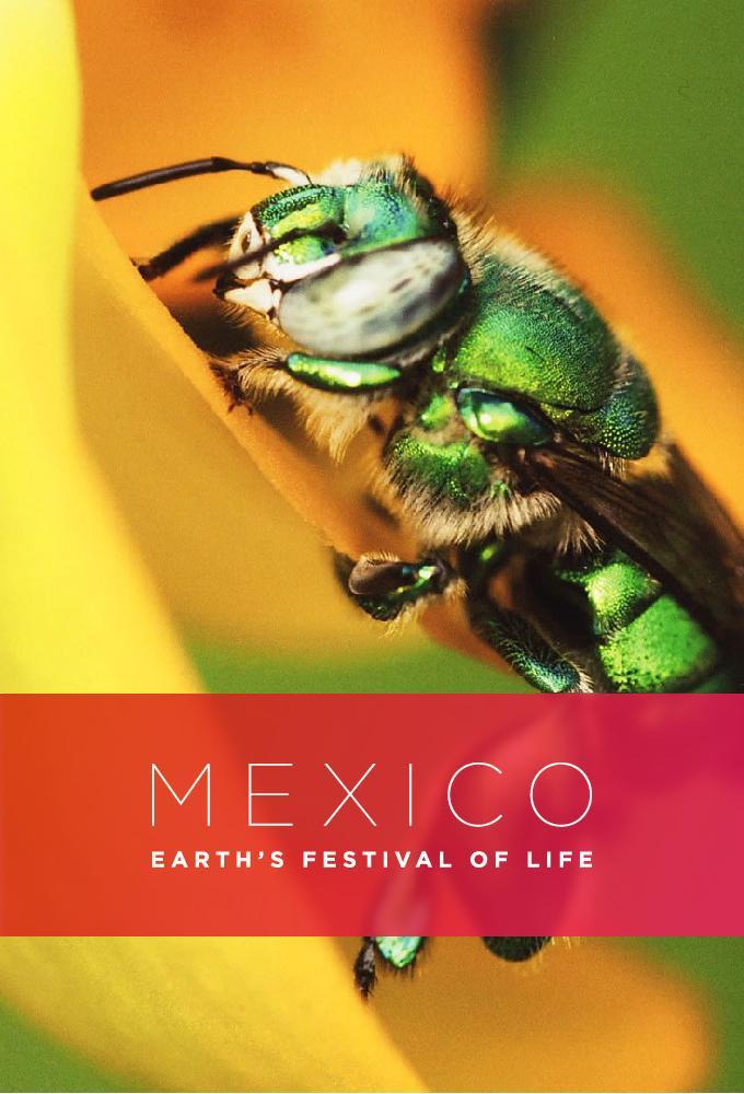 Mexico: Earth's Festival of Life (TV Miniseries)