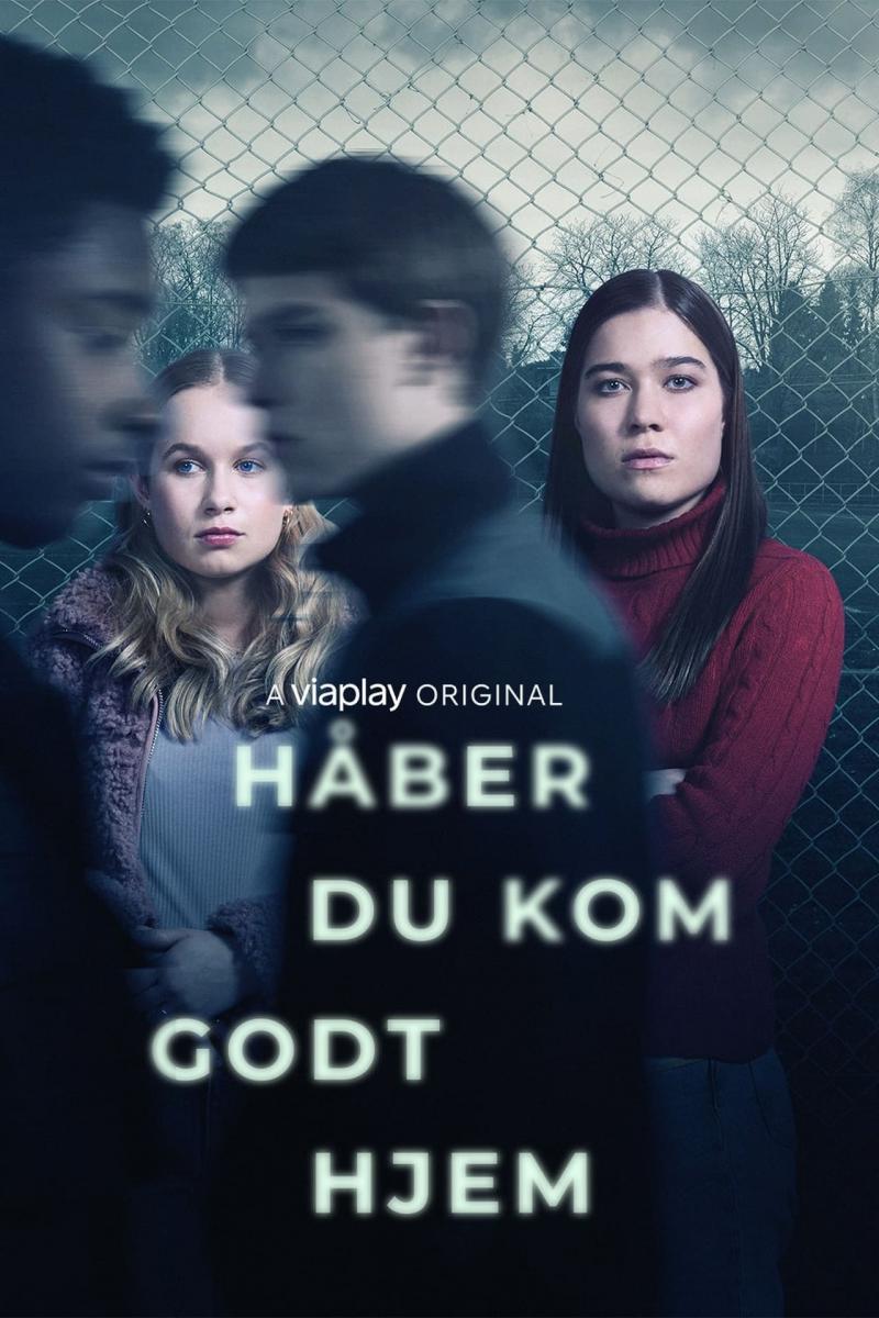 Håber du kom godt hjem (Serie de TV)