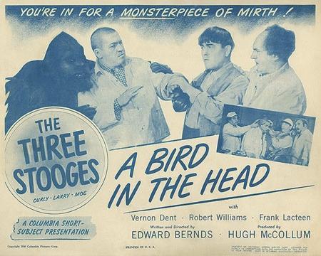 A Bird in the Head (S)