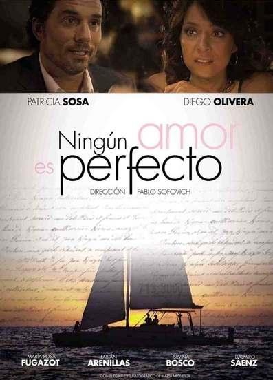 Ningún amor es perfecto