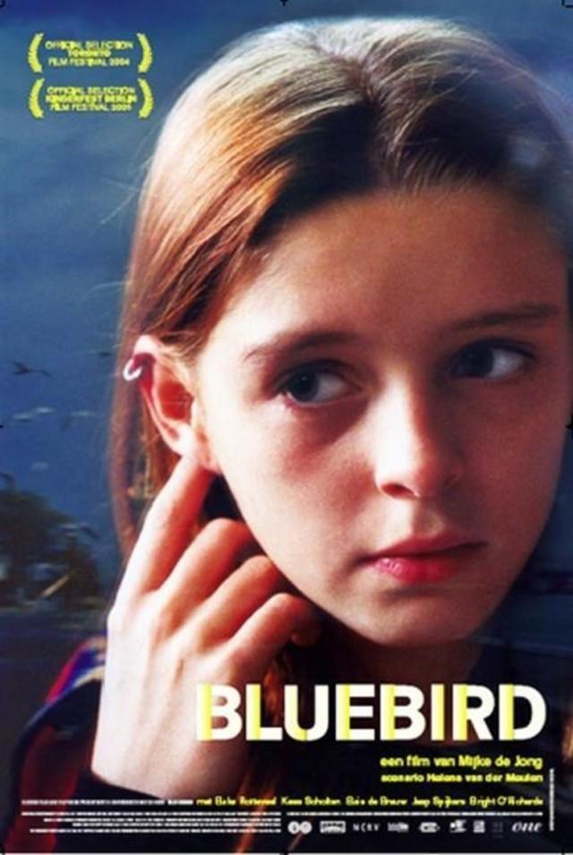 Bluebird (TV)