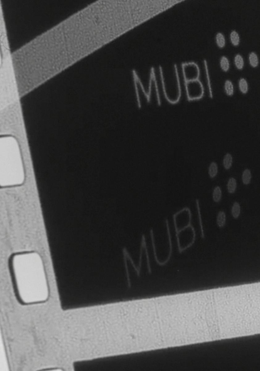 MUBI Ident (C)