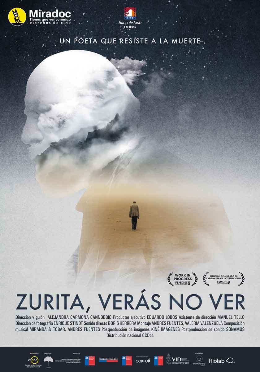 Zurita, verás no ver