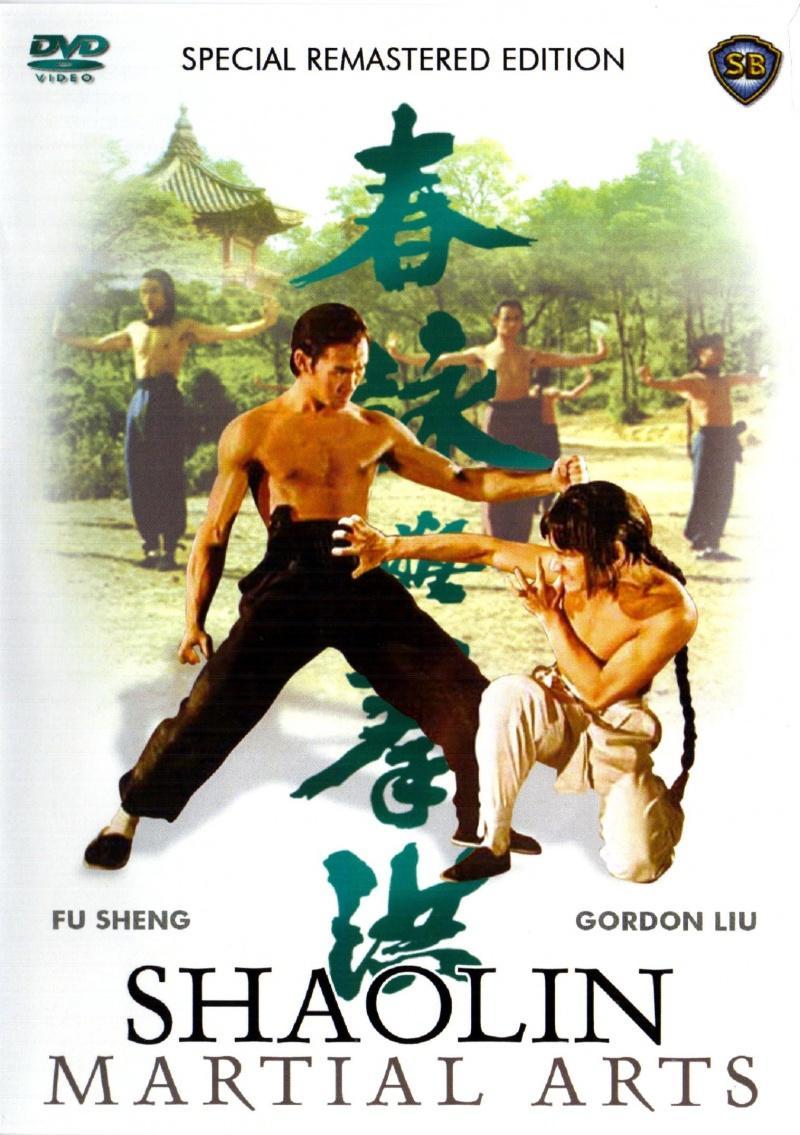 Shaolin Martial Arts