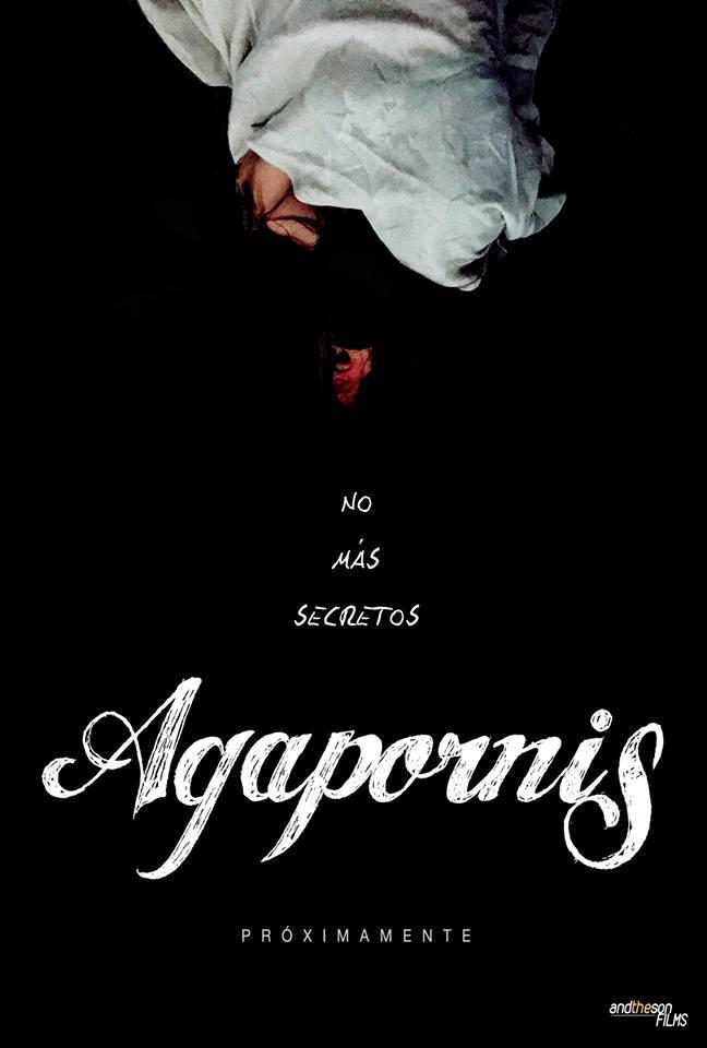 Agapornis (S)