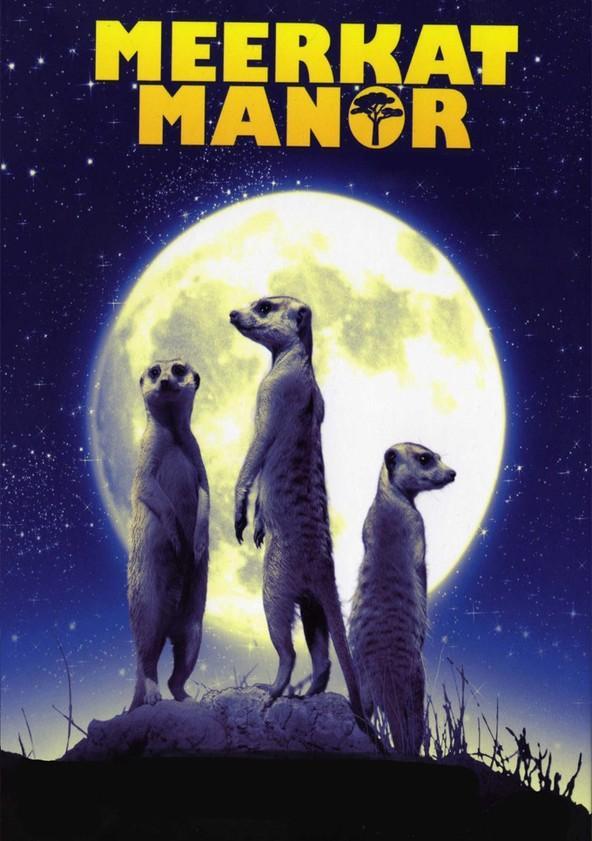 Meerkat Manor (TV Series)