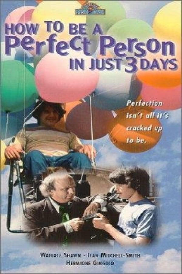 How to Be a Perfect Person in Just Three Days (TV)