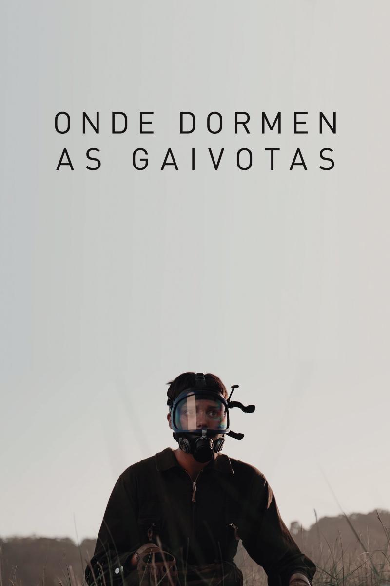 Onde dormen as gaivotas (C)