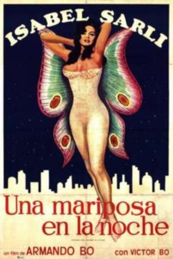 Una mariposa en la noche