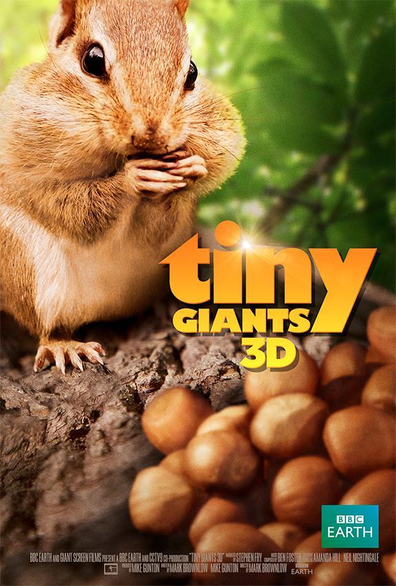 Tiny Giants 3D