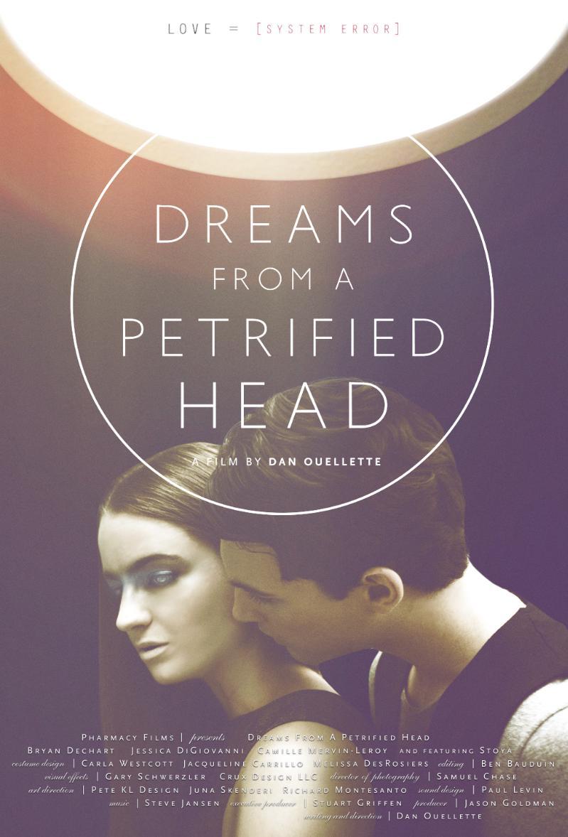 Dreams From a Petrified Head